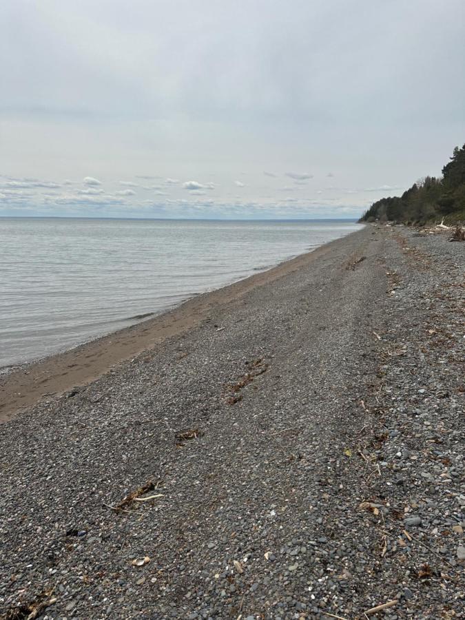Motel Carleton Sur Mer 외부 사진